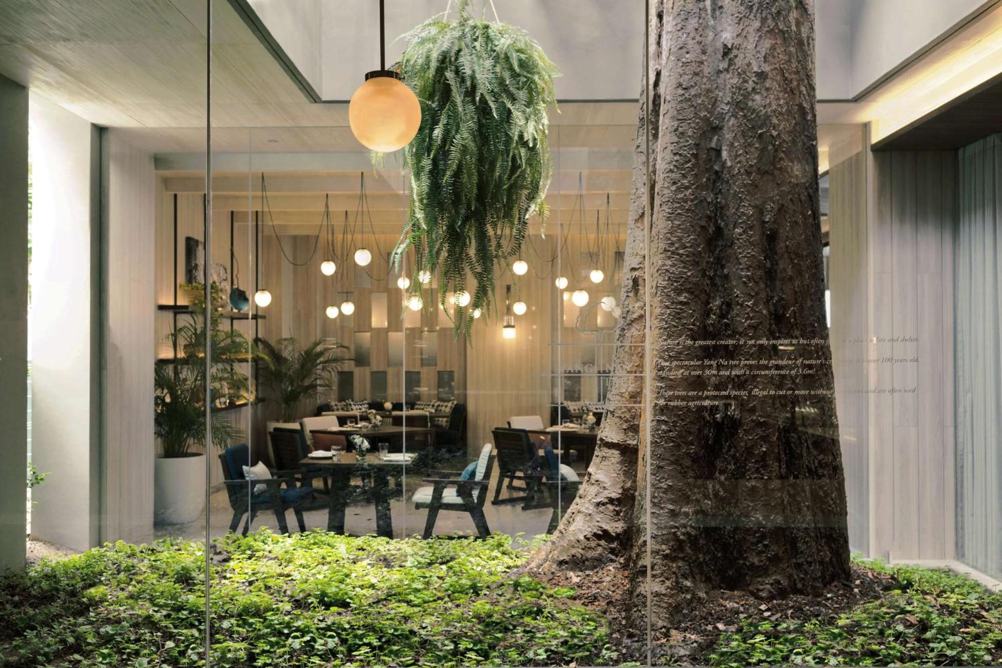 מלון 'צ'אוונג ביץ Hyatt Regency Koh Samui מראה חיצוני תמונה The Treehouse
