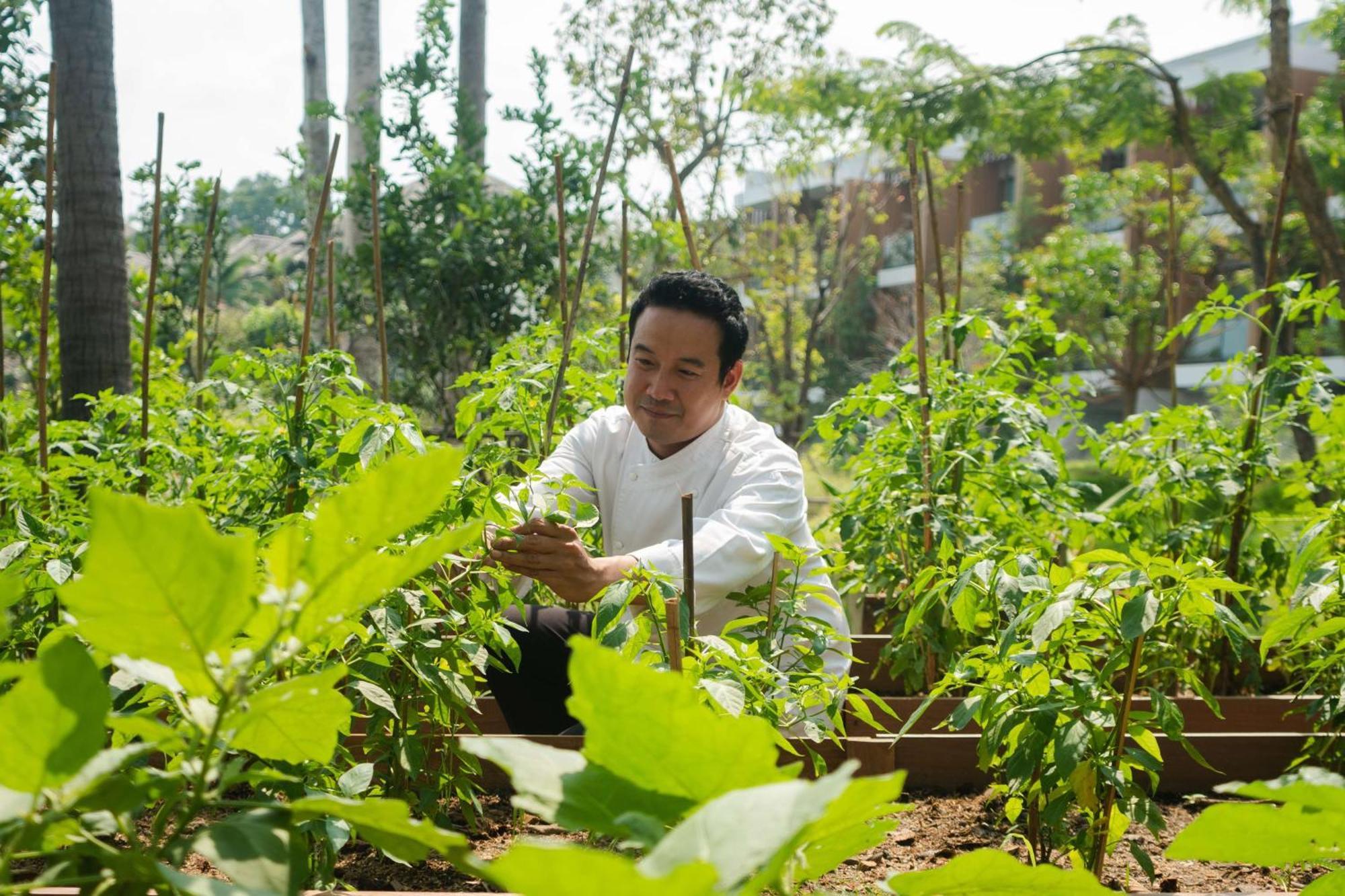 מלון 'צ'אוונג ביץ Hyatt Regency Koh Samui מראה חיצוני תמונה Chef Hung at the farm
